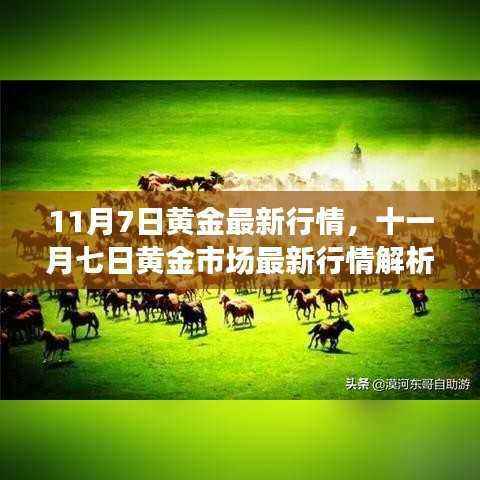 对答如流 第25页