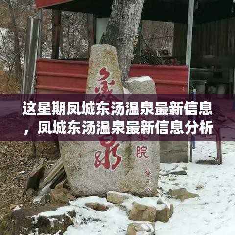 凤城东汤温泉最新动态，揭秘最新信息、价值分析与未来展望