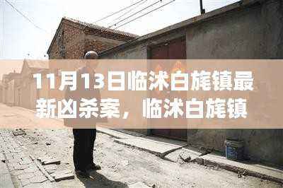 临沭白旄镇最新凶杀案揭秘，11月13日事件真相大揭秘