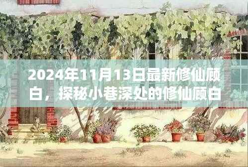 探秘修仙顾白，隐藏小巷深处的神秘修仙小店（2024年11月13日）