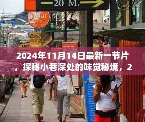 探秘小巷深处的味觉秘境,最新美食天堂揭秘之旅(2024年11月14日最新一节片)