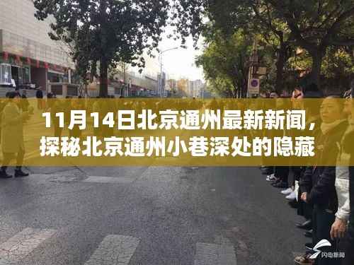 北京通州小巷深处的隐藏瑰宝,11月14日最新新闻揭秘一家独具匠心的特色小店