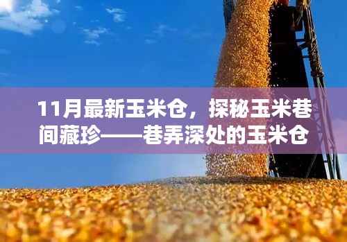 探秘玉米巷间藏珍,揭秘最新玉米仓秘境