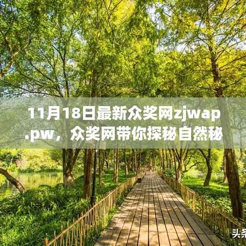 众奖网带你探秘自然秘境,心灵之旅启程