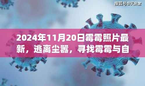 悠然自得 第10页