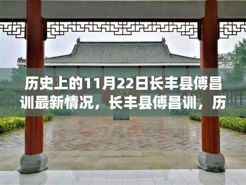 长丰县傅昌训，历史回响与最新进展回顾