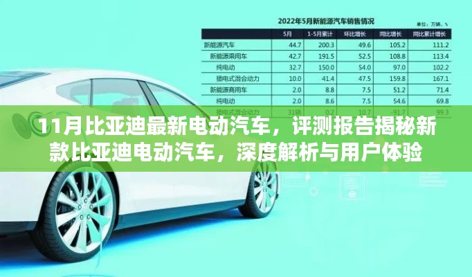 走马观花 第10页