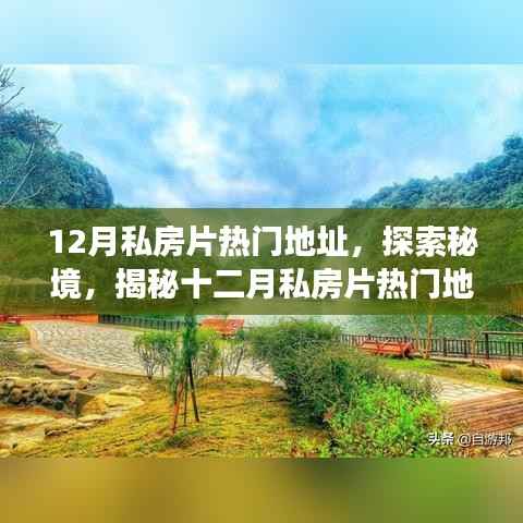 初告白 第9页