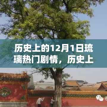 眉开眼笑 第7页