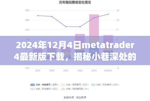 揭秘宝藏小店与最新Metatrader 4体验之旅，2024年最新版下载指南