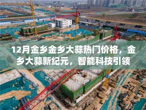 揭秘金乡大蒜新纪元，智能科技引领大蒜市场新风向，十二月热门价格的奇迹揭秘