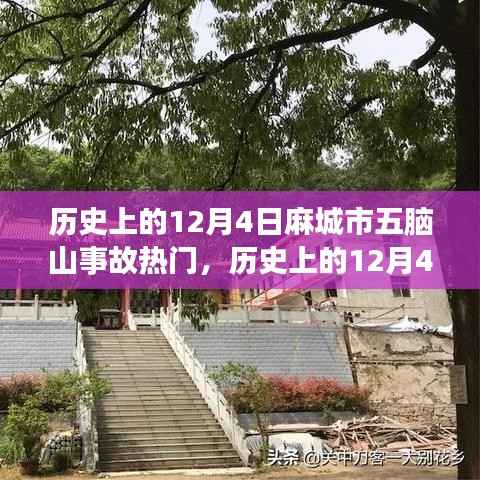 悠然自得 第5页