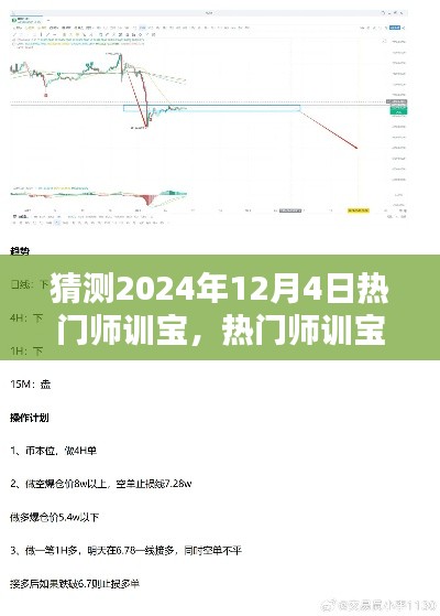 猜测2024年12月4日热门师训宝,热门师训宝——猜测2024年12月4日产品特性及全面介绍