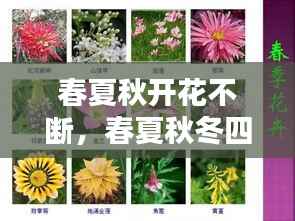 yuanfeiyuyue 第2页