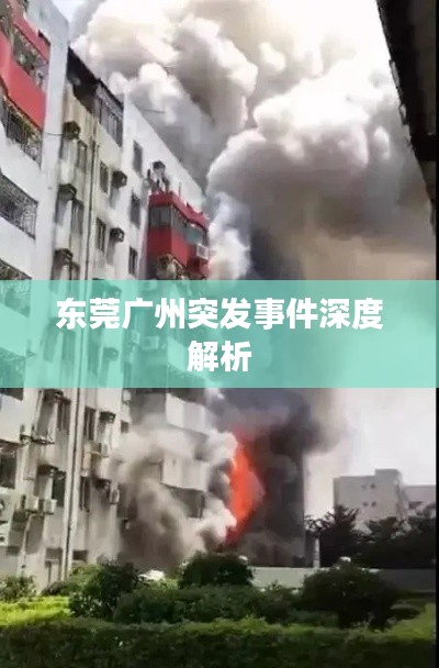 东莞广州突发事件深度解析