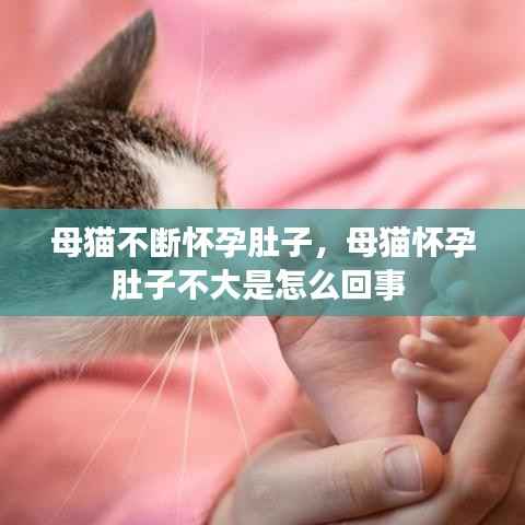 侃侃而谈 第2页