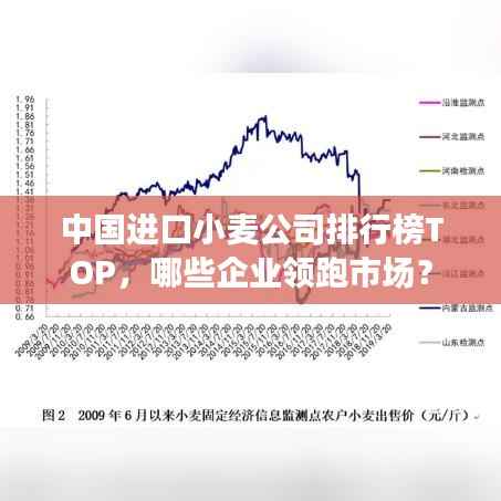 中国进口小麦公司排行榜TOP,哪些企业领跑市场?