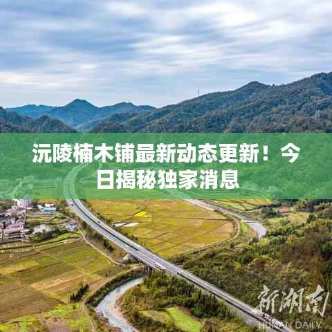 回眸最初 第2页