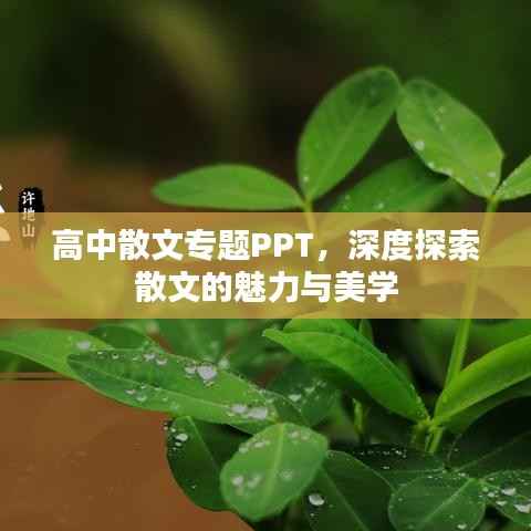 对答如流 第2页