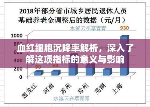 血红细胞沉降率解析，深入了解这项指标的意义与影响