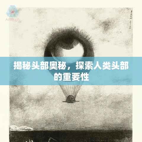 揭秘头部奥秘，探索人类头部的重要性