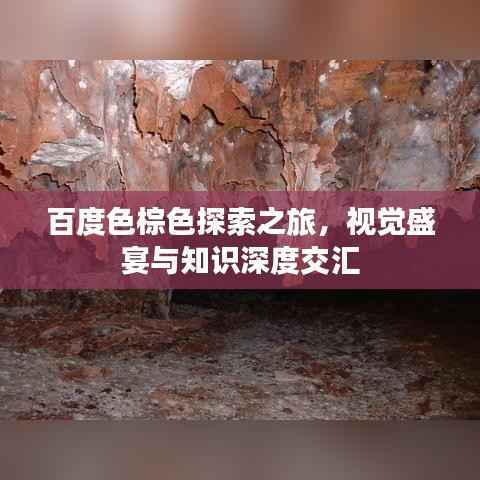 百度色棕色探索之旅，视觉盛宴与知识深度交汇