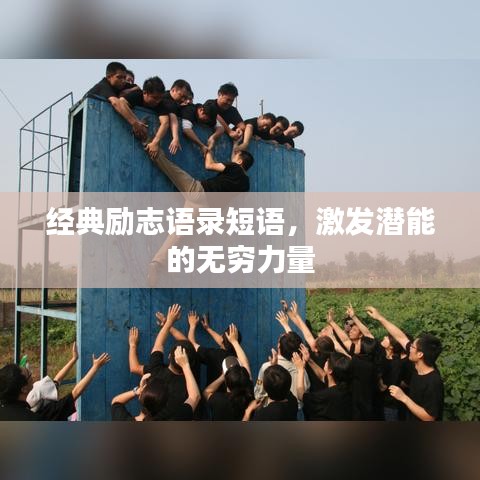 朝飞暮卷 第2页