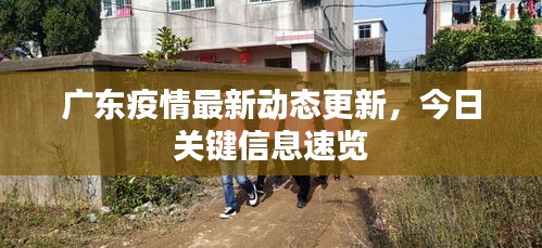 广东疫情最新动态更新,今日关键信息速览